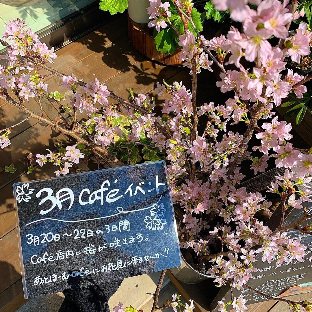 2020年3月桜カフェイベント